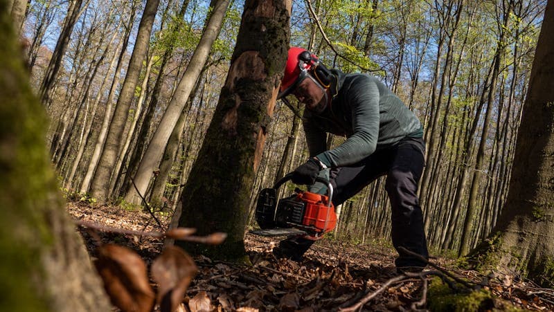 Tree service worker operating chainsaw in the forest